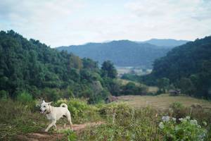 BIB: 
                            <button type="button" onclick="openModal(16011203)" class="btn btn-primary btn-sm float-right btn-popup" data-toggle="modal" data-target=".modal-high-quality">
                        <i class="fas fa-shopping-cart"></i> Add to Cart
                    </button>
                                            <button type="button" onclick="isThisMe(16011203, true)" class="btn btn-success btn-sm float-right btn-popup btn-isme hidden" data-toggle="tooltip" data-placement="bottom" title="นี่คือรูปของคุณใช่ไหม คลิกที่นี่เพื่อเอาเข้าอัลบั้ม">
                        <i class="fas fa-plus"></i> Add to album
                    </button>
                    <button type="button" onclick="isThisMe(16011203, false)" class="btn btn-warning btn-sm float-right btn-popup btn-isnotme hidden">
                        <i class="fas fa-ban"></i> Remove from album
                    </button>